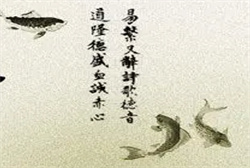梦见很大的黑蛇是什么预兆
